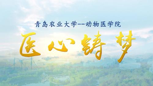 suncitygroup太阳集团宣传片